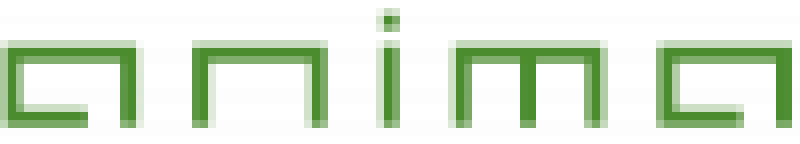 Anima APIII - 500W (Noir)